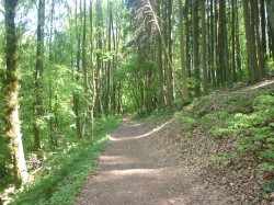 Wanderweg im Heilbachtal.jpg